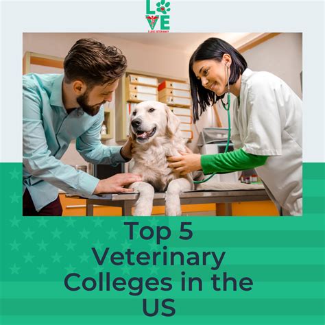 Vet schools in us. Things To Know About Vet schools in us. 
